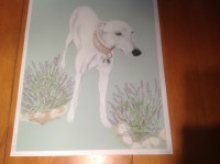 /album/galerie-photos/photo-1617-jpg/